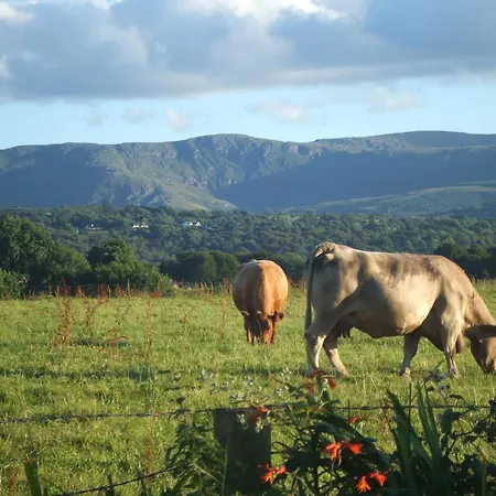 Bed & Breakfast River Meadows 3*