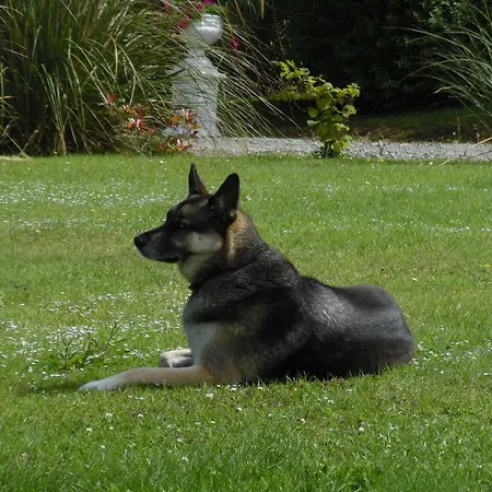 Bed & Breakfast River Meadows Kenmare