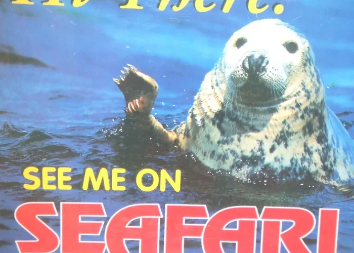 B&B River Meadows 켄마어