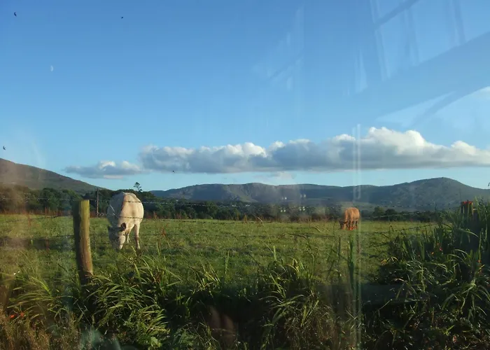 B&B River Meadows 3*