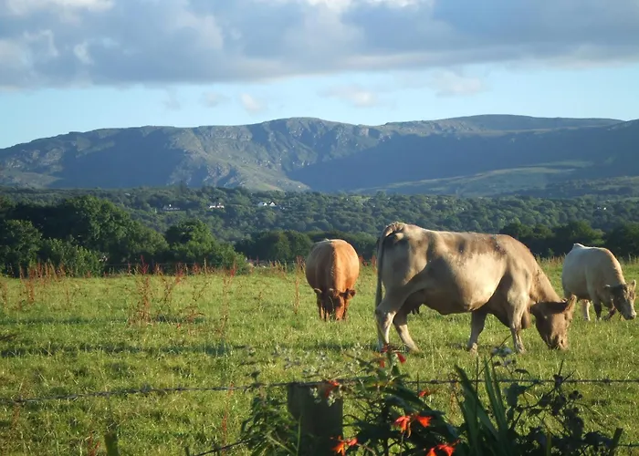 B&B River Meadows 3*