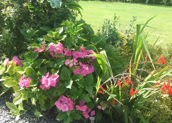 B&B River Meadows 3*