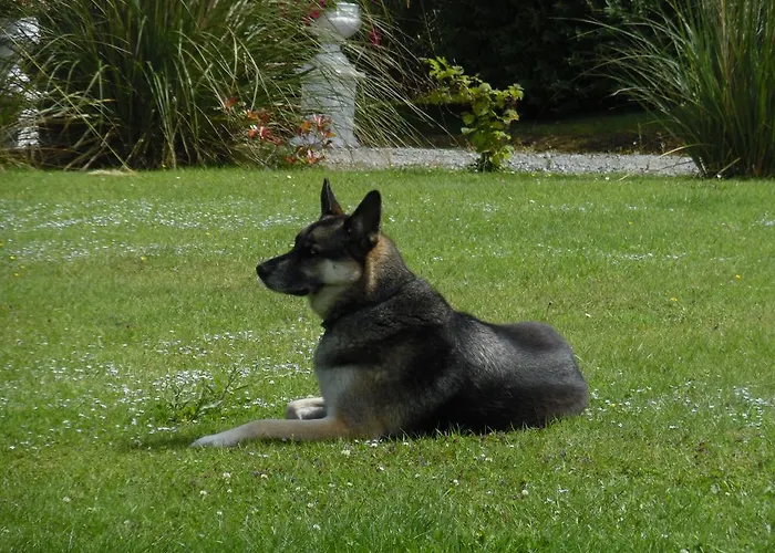 B&B River Meadows 켄마어